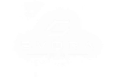 EVORA 脉流中转科技